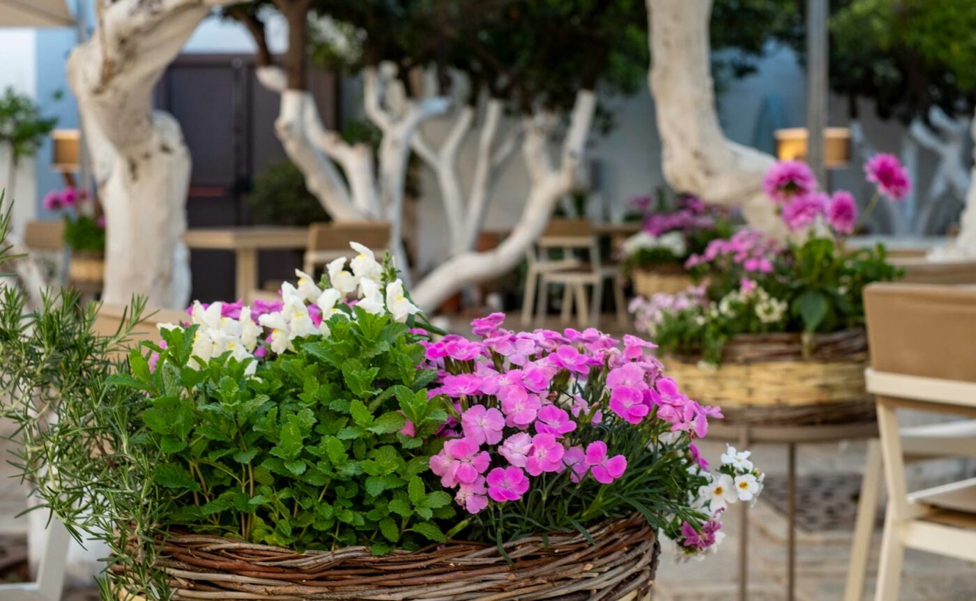 Garden Relais Ostuni