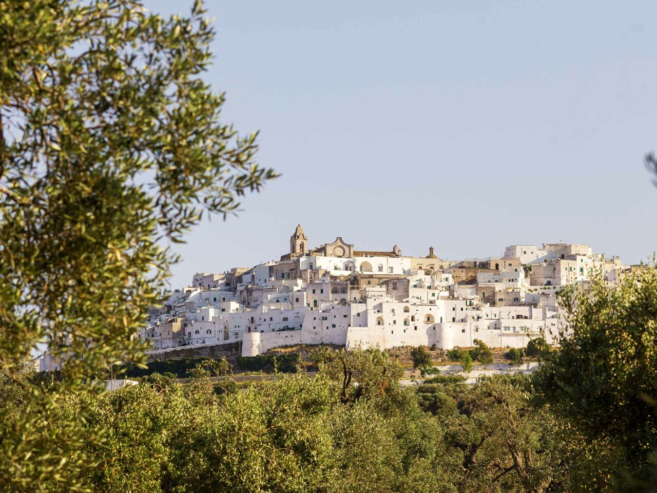 il campagna pugliese