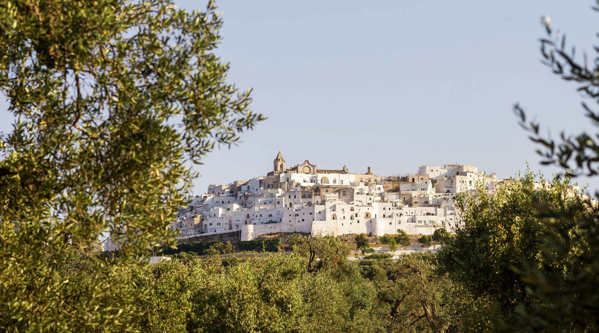 il campagna pugliese